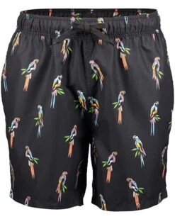Best Pirce 👍 Kanu Surf Men's Riviera Swim Trunks (Regular & Extended Sizes) | Swimwear 🔥 -Kanu Surf Sales Store 71xksznx5TL. AC SR736920