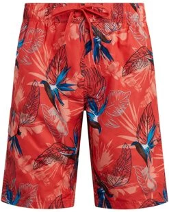 Cheap π Kanu Surf Men's Mileage Swim Trunks (Regular & Extended Sizes) | Swimwear π 35 Cheap π Kanu Surf Men's Mileage Swim Trunks (Regular & Extended Sizes) | Swimwear π -Kanu Surf Sales Store 91HhthvGPML. AC SR736920